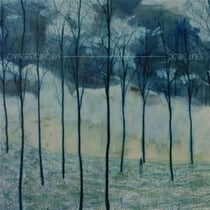 Desire lines