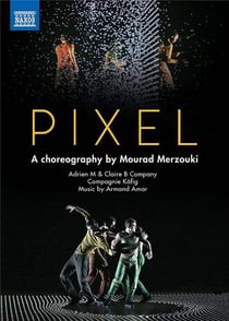 Pixel