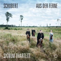Aus der ferne