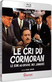 Le Cri du cormoran le soir au-dessus des jonques