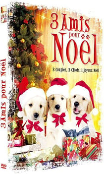 3 amis pour Noël