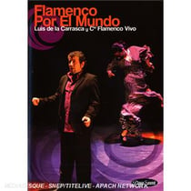 Flamenco por el mundo