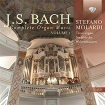 Musique pour orgue (integrale /vol.1)