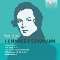 Hommage à Schumann - musique de chambre