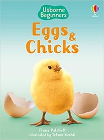 Eggs and chicks