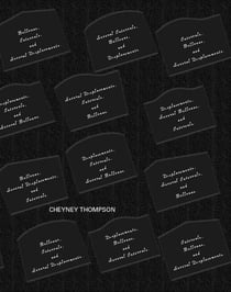Cheyney Thompson : Several bellonas intervals and displacements