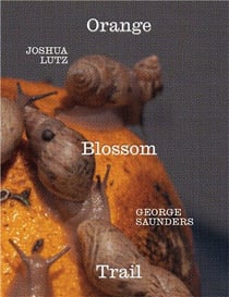 Orange blossom trail