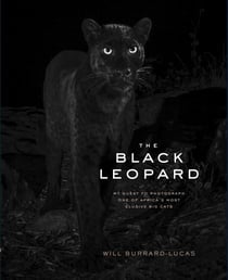 The black leopard