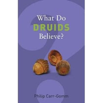 What do druids believe ?