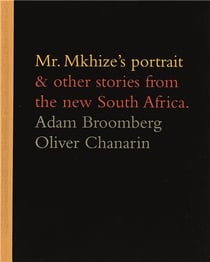 Mr mkhize's portrait and other stories from the new south africa