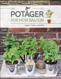 Un potager sur mon balcon