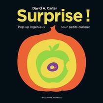 Surprise ! pop-up ingénieux pour petits curieux