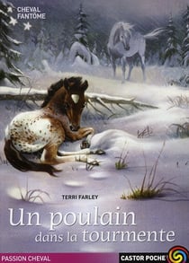 Cheval fantome  - 5 - un poulain dans la tourmente