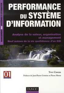 Performance du système d'information