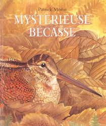Mysterieuse becasse