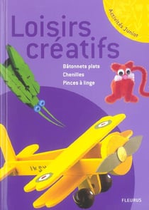Loisirs creatifs batonnets plats / pinces a linge / chenilles