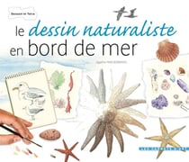 Le dessin naturaliste - bords de mer