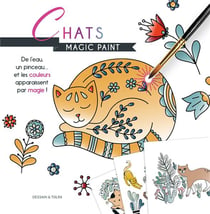 Magic paint - chats