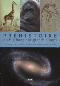 Préhistoire, du big bang aux grands singes