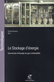 Le stockage d'énergie - conversion d'énergie en gaz combustible