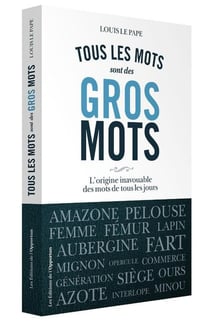 Tous les mots sont des gros mots - l'origine inavouable des mots de tous les jours