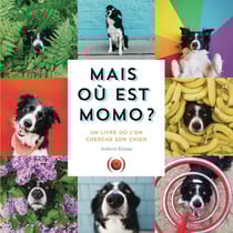 Mais où est momo ? un livre où l'on cherche son chien