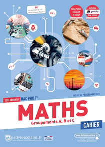 Mathématiques - terminale Bac Pro - cahier d'activités