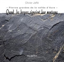 Quand les bergers signaient leur montagne : Pierres gravées de la vallée d'Aure