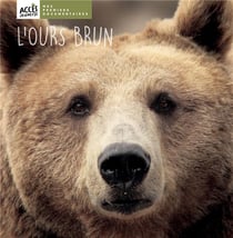 L'ours brun