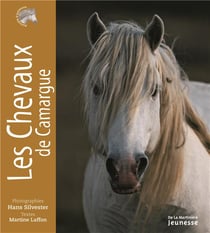 Les chevaux de Camargue