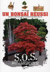 Un bonsaï réussi - s.o.s. du jardinier