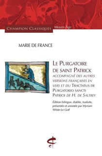 Le purgatoire de saint Patrick