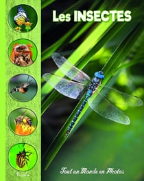 Tout un monde en photos : les insectes