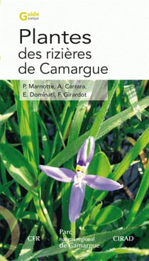 Plantes des rizières de camargue