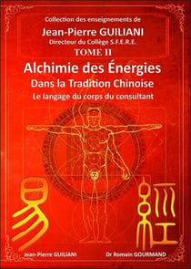 Alchimie des énergies dans la tradition chinoise Tome 2 : le langage du corps du consultant