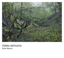 Peter Maurer terra deposita