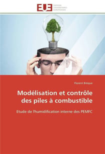 Modelisation et controle des piles a combustible