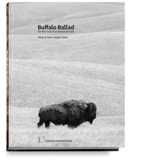 Buffalo ballad - on the trail on american icon