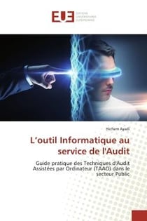 L'outil Informatique au service de l'Audit : Guide pratique des Techniques d'Audit Assistées par Ordinateur (TAAO) dans le secteur Public