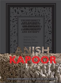 Anish kapoor unconformity and entropy