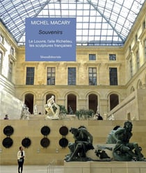 Michel macary - aile richelieu - le louvre