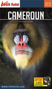 Country guide : Cameroun (édition 2017/2018)