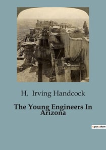 The Young Engineers In Arizona : Challenges and Integrity in the Arizona Desert