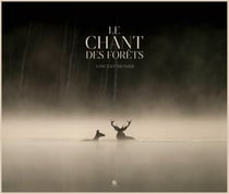 Le chant des forêts