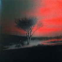 Piss In The Wind - édition colorée