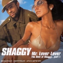 Mr lover lover (the best of...part 1)