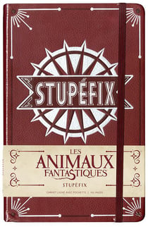 CARNET GRAND FORMAT STUPEFIX