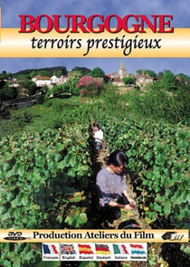 Bourgogne : Terroirs prestigieux