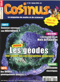 Cosinus N°212 Microbiotes, ces bacteries qui nous aident -  février 2019