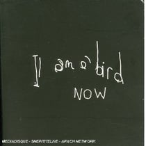 I am a bird now